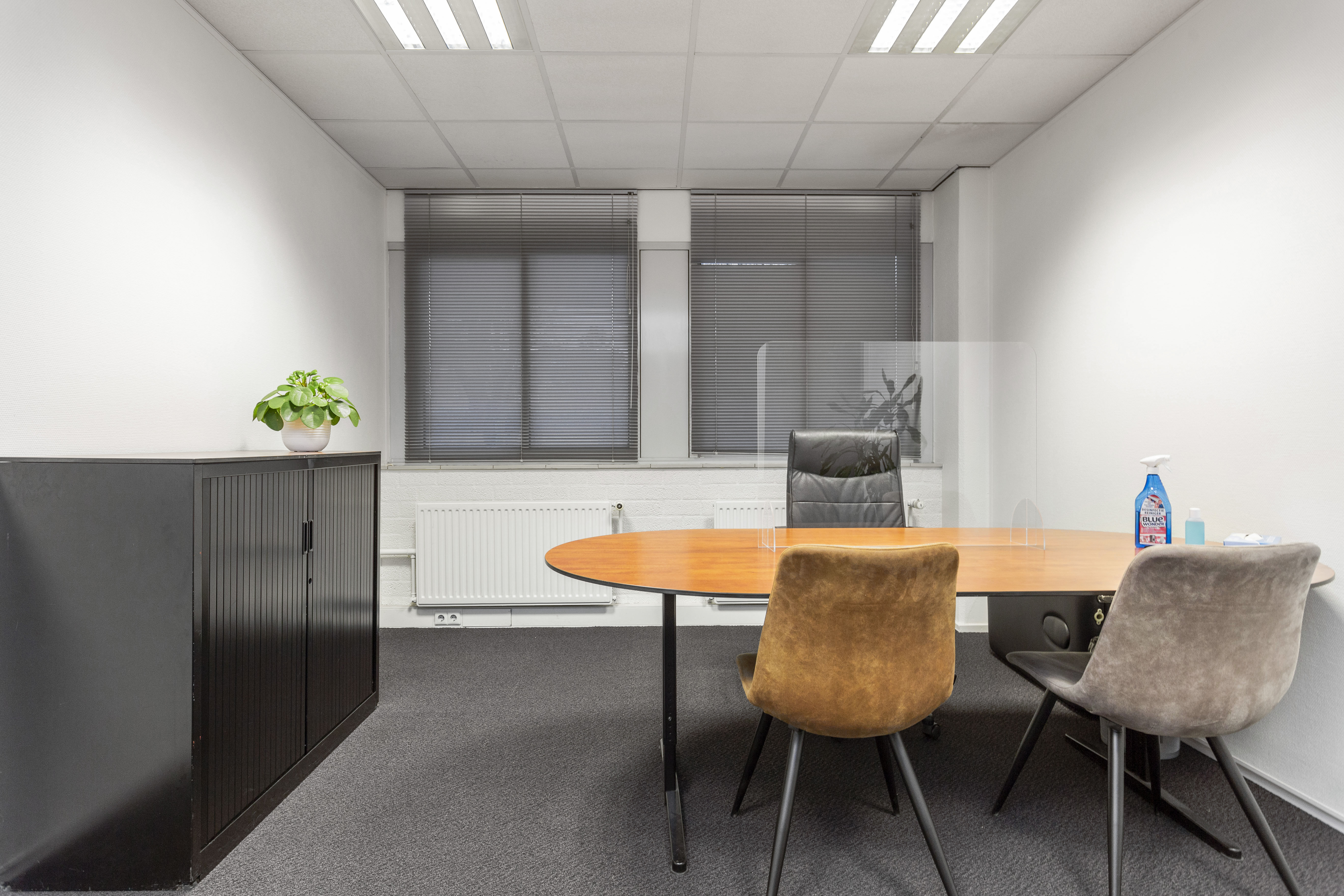 Den Haag_groenekamer2.JPG